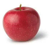 Apple Apple