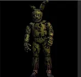 Spring trap Spring trap