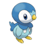Piplup (Sinnoh) Piplup (Sinnoh)