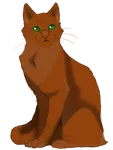 Pinestar Pinestar