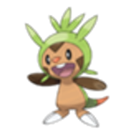 Chespin (Kalos) Chespin (Kalos)