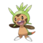 Chespin (Kalos) Chespin (Kalos)