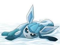glaceon glaceon