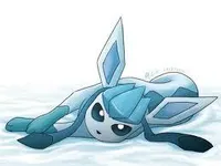 glaceon glaceon
