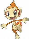 Chimchar Chimchar