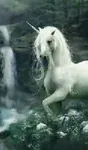queenofunicorns queenofunicorns