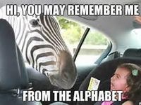 Z as in Zebra Z as in Zebra