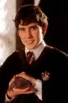 Neville Longbottom Neville Longbottom