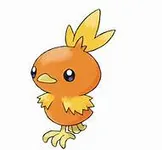 Torchic Torchic