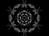Secret Circle