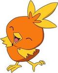 Torchic Torchic