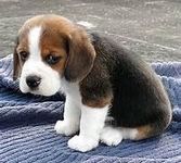 no it sucks so bad I'm sad all the time no it sucks so bad I'm sad all the time