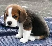 no it sucks so bad I'm sad all the time no it sucks so bad I'm sad all the time