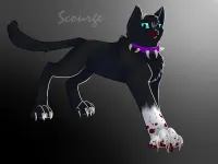 Be a Cat Warrior Be a Cat Warrior