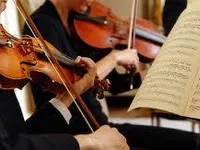 musician musician