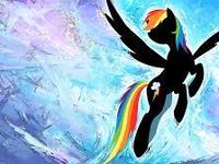 rainbow dash rainbow dash