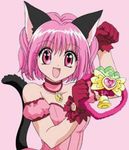 Anime Anime
