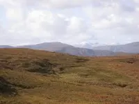Country