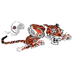 Cincinnati Bengals Cincinnati Bengals