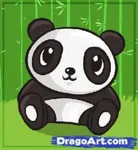 panda panda