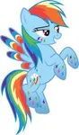 Rainbow Dash Rainbow Dash
