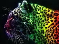 ANIMALS ANIMALS