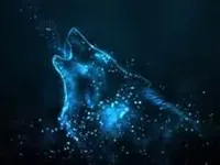 le wolf le wolf