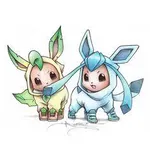 Eevee Duo Eevee Duo