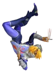 Zelda/Sheik