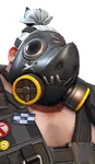 Roadhog