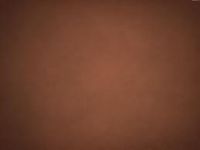 brown brown