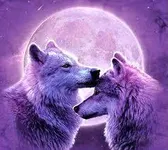 love wolfs