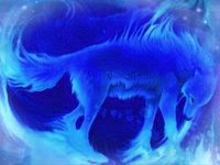 Water wolf Water wolf