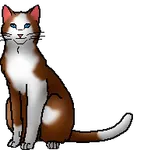 Brightwhisker