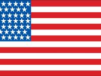 American English American English