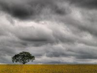 Cloudy Cloudy