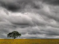 Cloudy Cloudy