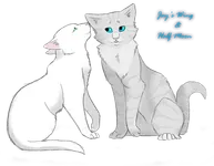 Jay moon (Jayfeather+Half moon)
