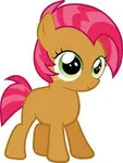 Babs Seed Babs Seed