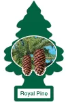 Royal Pine Royal Pine