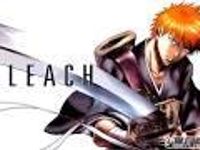 Bleach Bleach