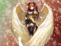 1 1