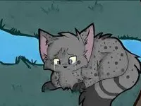 Ashfur Ashfur