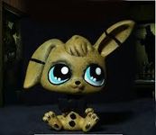 spring trap spring trap