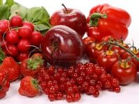 Fruit Fruit