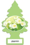 Jasmin