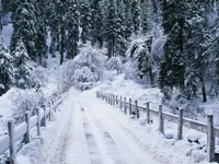 Cold Weather (includes snow, hail, sleet, etc.) Cold Weather (includes snow, hail, sleet, etc.)