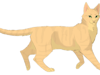 Sandstorm