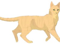 Sandstorm