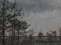 Waking up rainy at 7h00 AM, stops raining by 1h00 PM and gets sunny by 2h00 PM until 7h00 PM Waking up rainy at 7h00 AM, stops raining by 1h00 PM and gets sunny by 2h00 PM until 7h00 PM